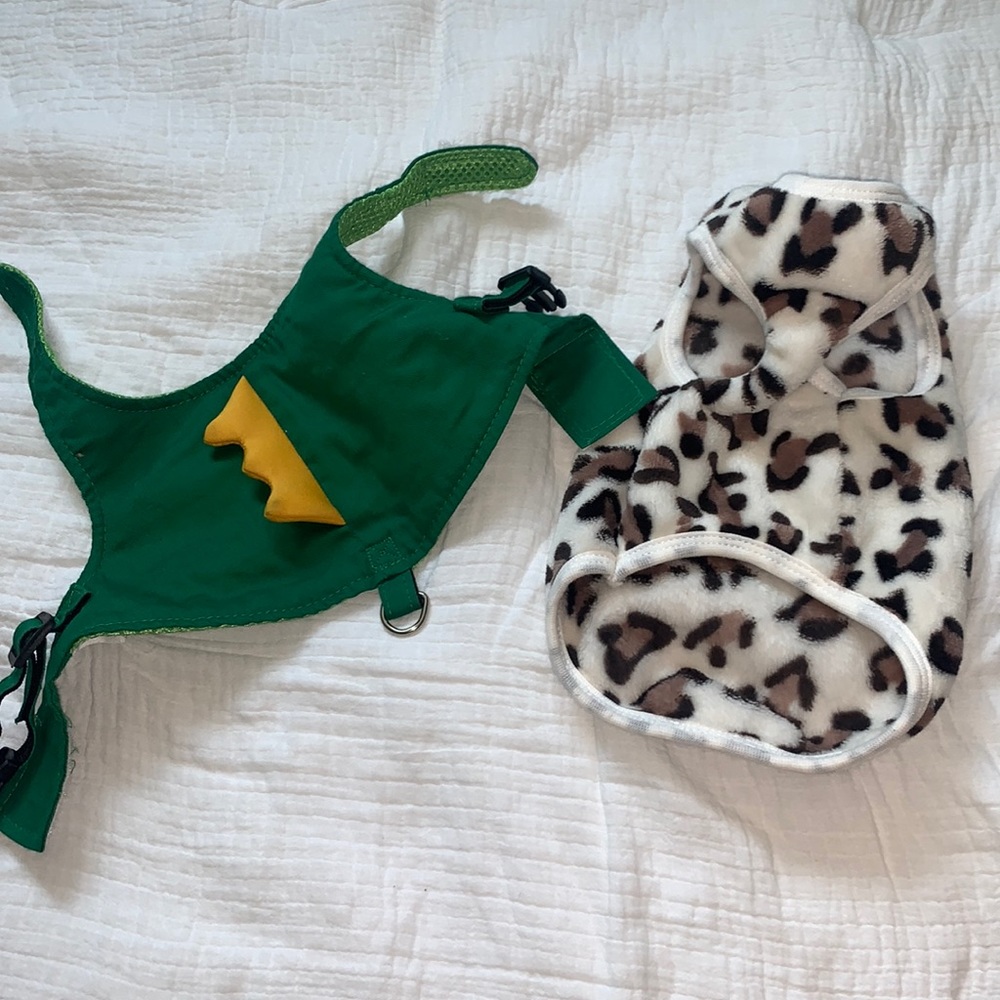 Green dinosaur and leopard print cat clothes